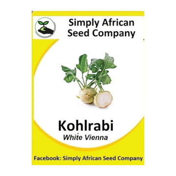 Kohlrabi White Vienna 50's