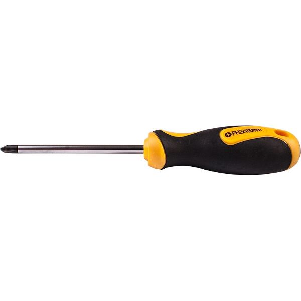 Screwdriver Phillips No.2 X 100Mm