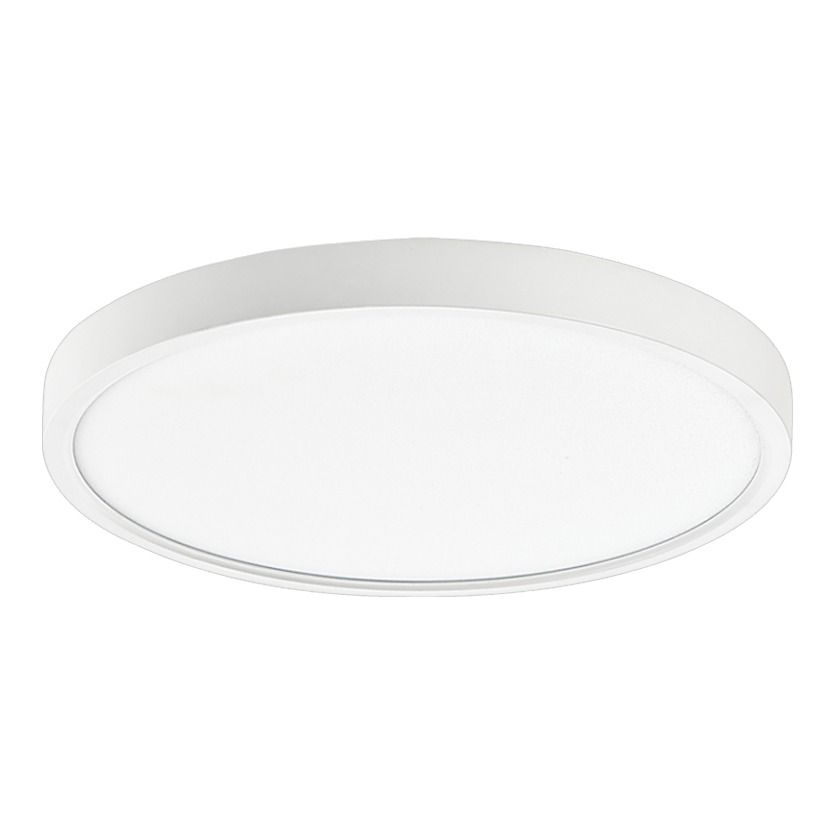LED ABS Ceiling Fitting