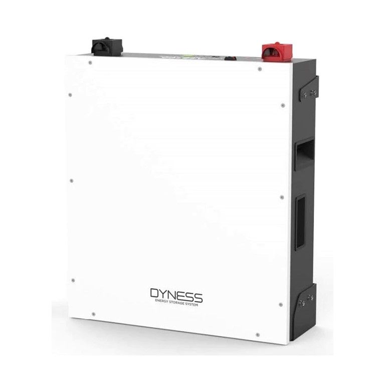 Dyness 5.12Kwh 100Ah LiFePo4 Lithium-ion Battery