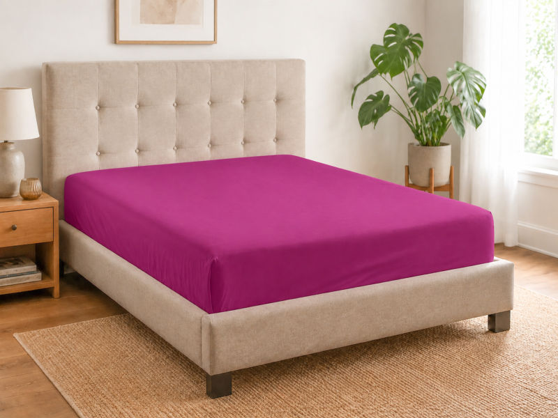 Everyday Collection Fitted Sheet - 90GSM - Fuchsia Purple - Single - 30 Pc Pack