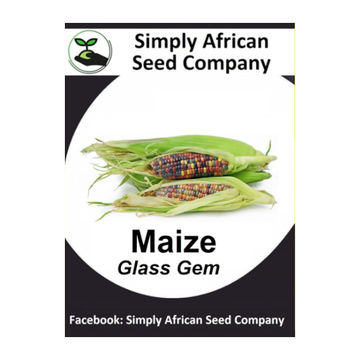 Maize Glass Gem (15's)