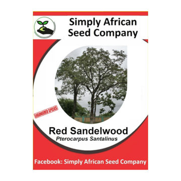 Red Sandalwood (Pterocarpus Santalinus) 6's