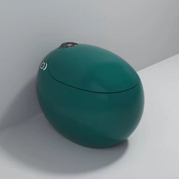 Smart Bidet Toilet, Egg-Shaped Ceramic