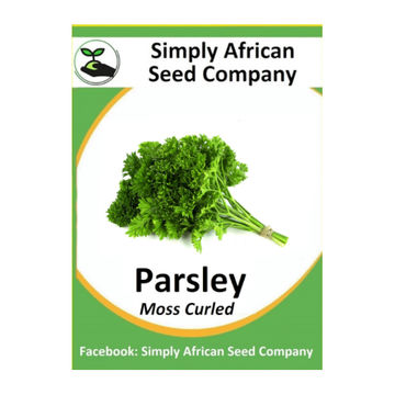 Parsley Moss Curled  (30's)