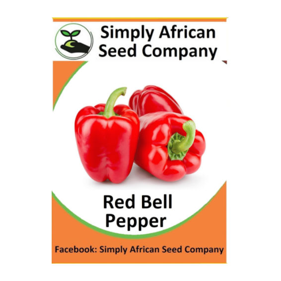 Bell Pepper Red 30's