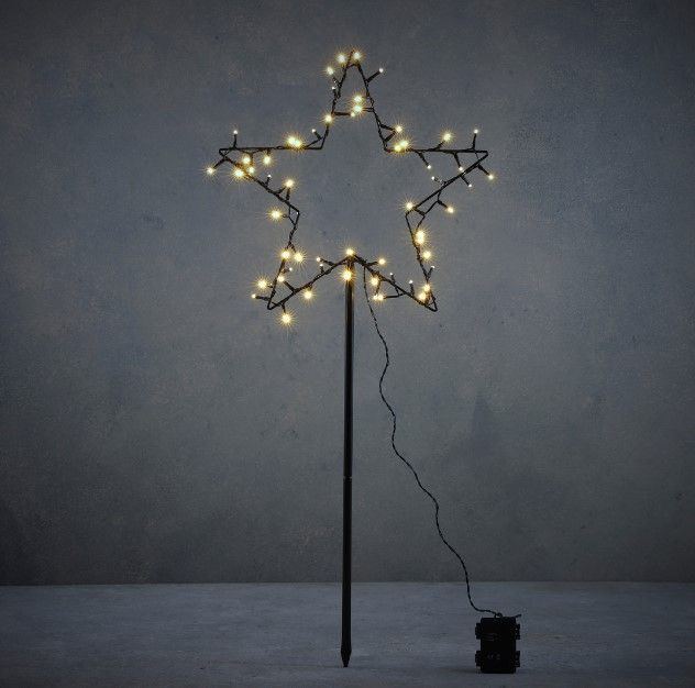 Star Garden Stake