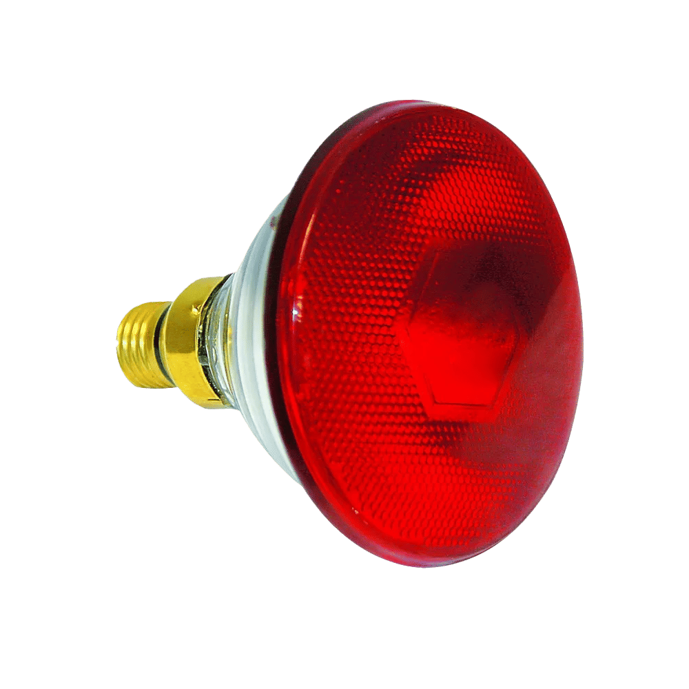 230VAC Infrared Lamp 175W  E27