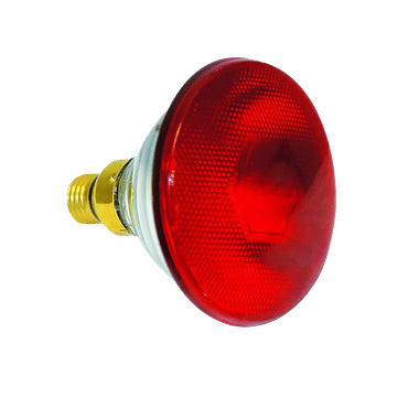 230VAC Infrared Lamp 175W  E27