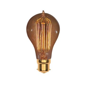 110-240V 25W B22 Globe Type Carbon Filament Lamp