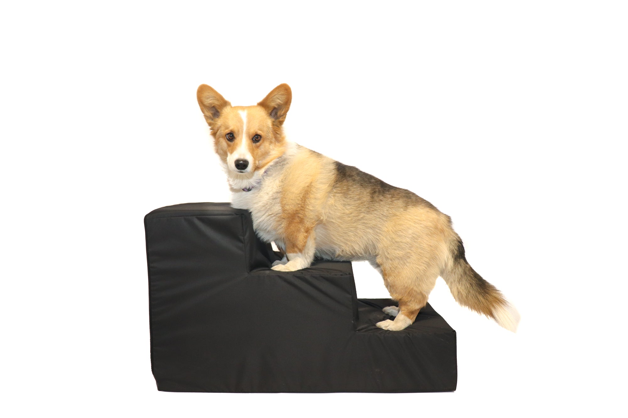 ThinkCosy Dog steps