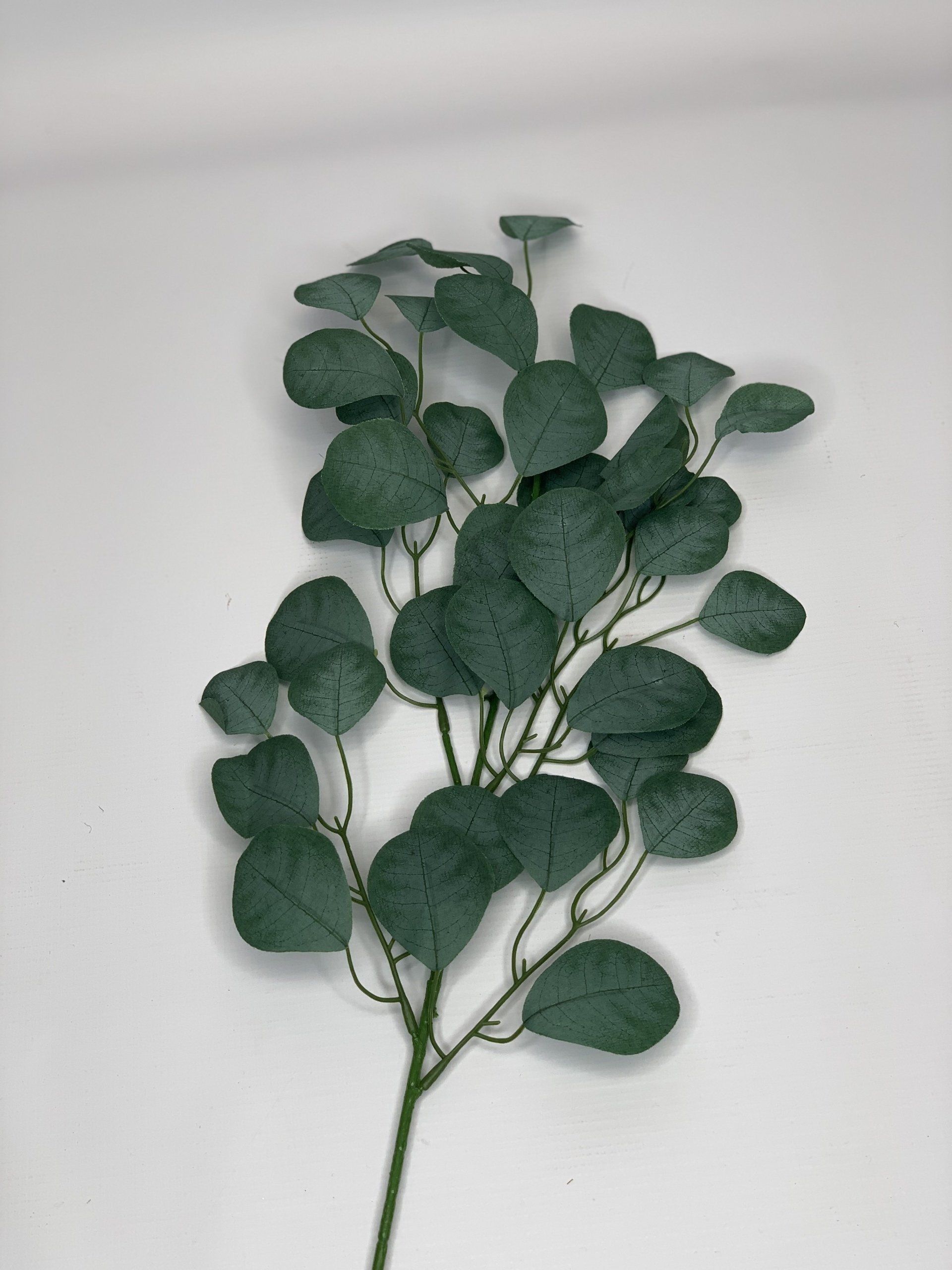 Eucaluptus Leaf 68Cm
