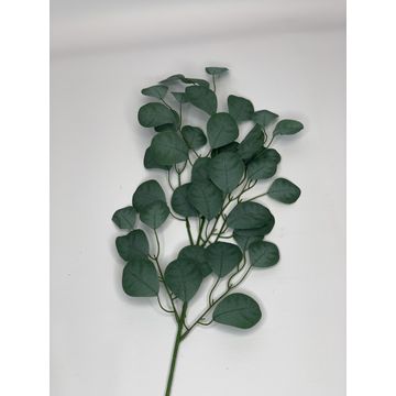 Eucaluptus Leaf 68Cm