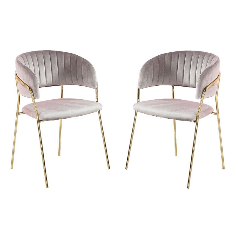 Set of 2 Modern and Stylish Velvet Dining Chairs - Grey