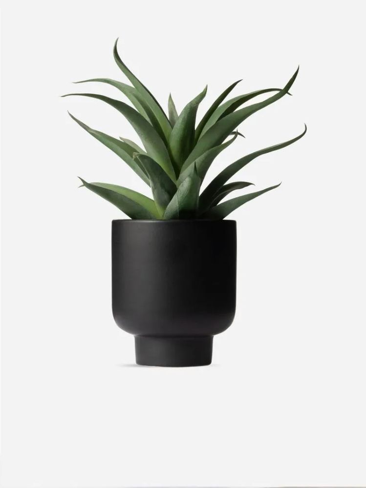 Faux Spikey Aloe Plant in Ceramic Pot – Artificial Indoor Plant 21cm