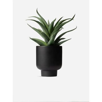 Faux Spikey Aloe Plant in Ceramic Pot – Artificial Indoor Plant 21cm