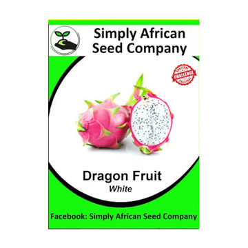 Dragon Fruit White (30's)