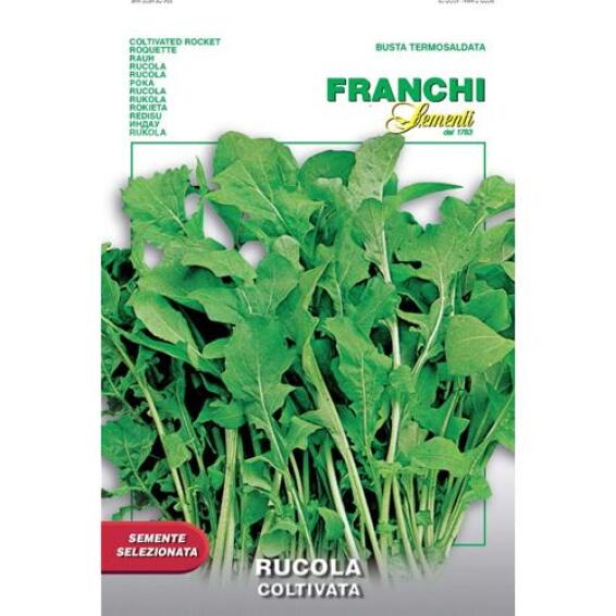 Seed, Cultivated Rocket, FRANCI SEMENTI