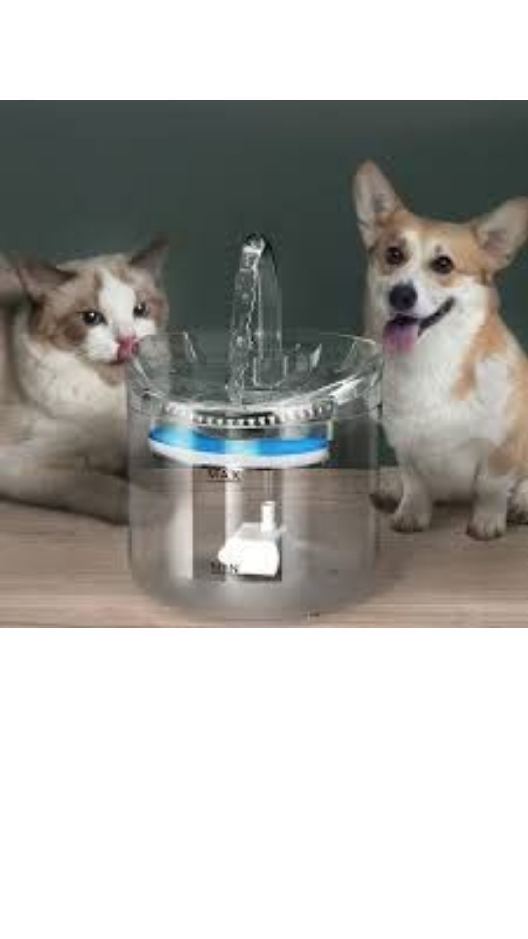 Portable Pet Water Fountain