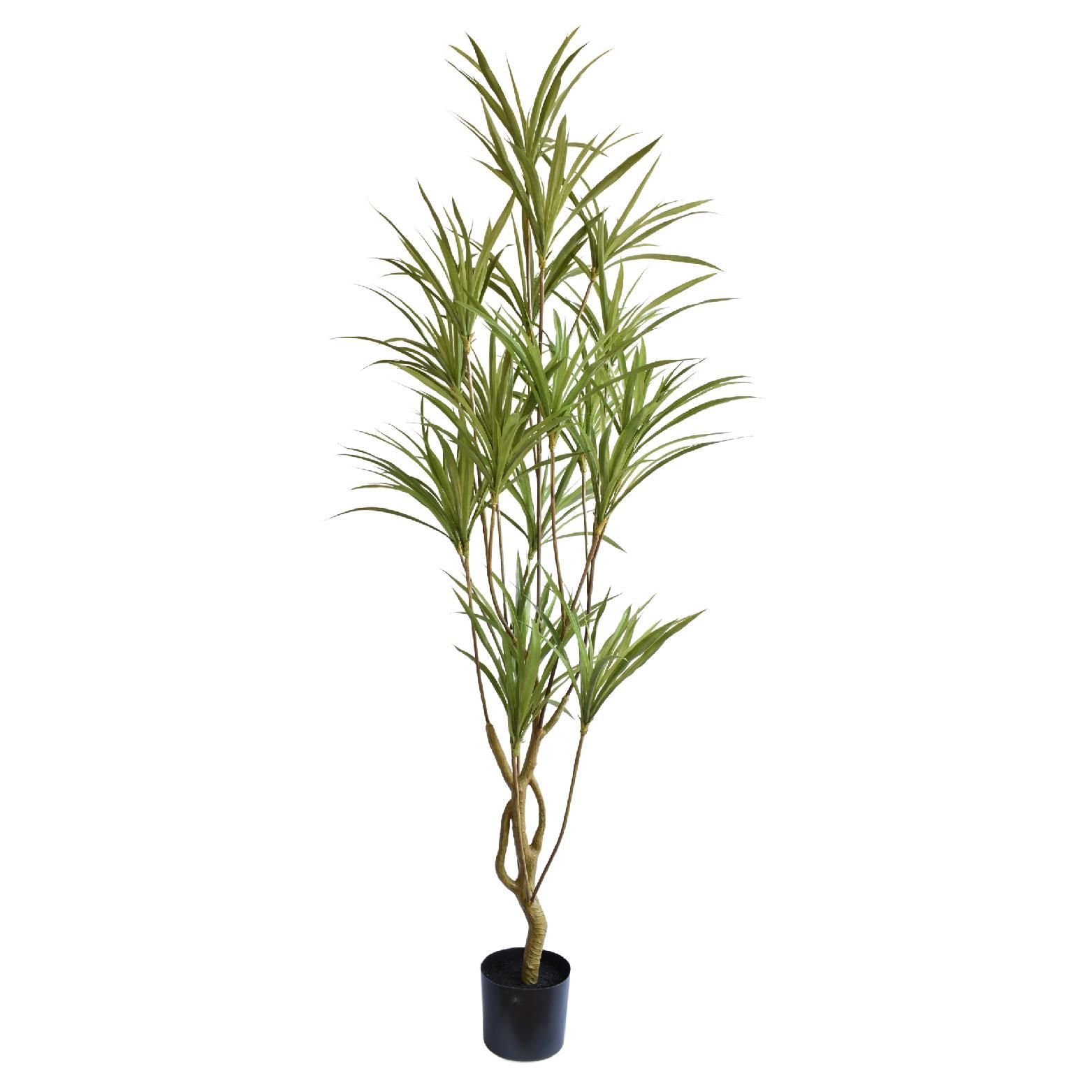 Artificial Dracaena Plant 1,8m
