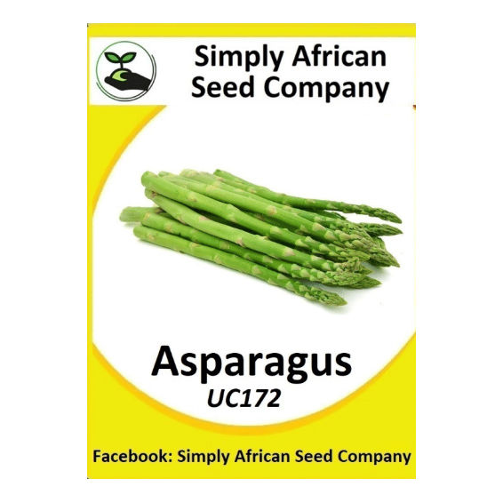 Asparagus UC172 (15's)