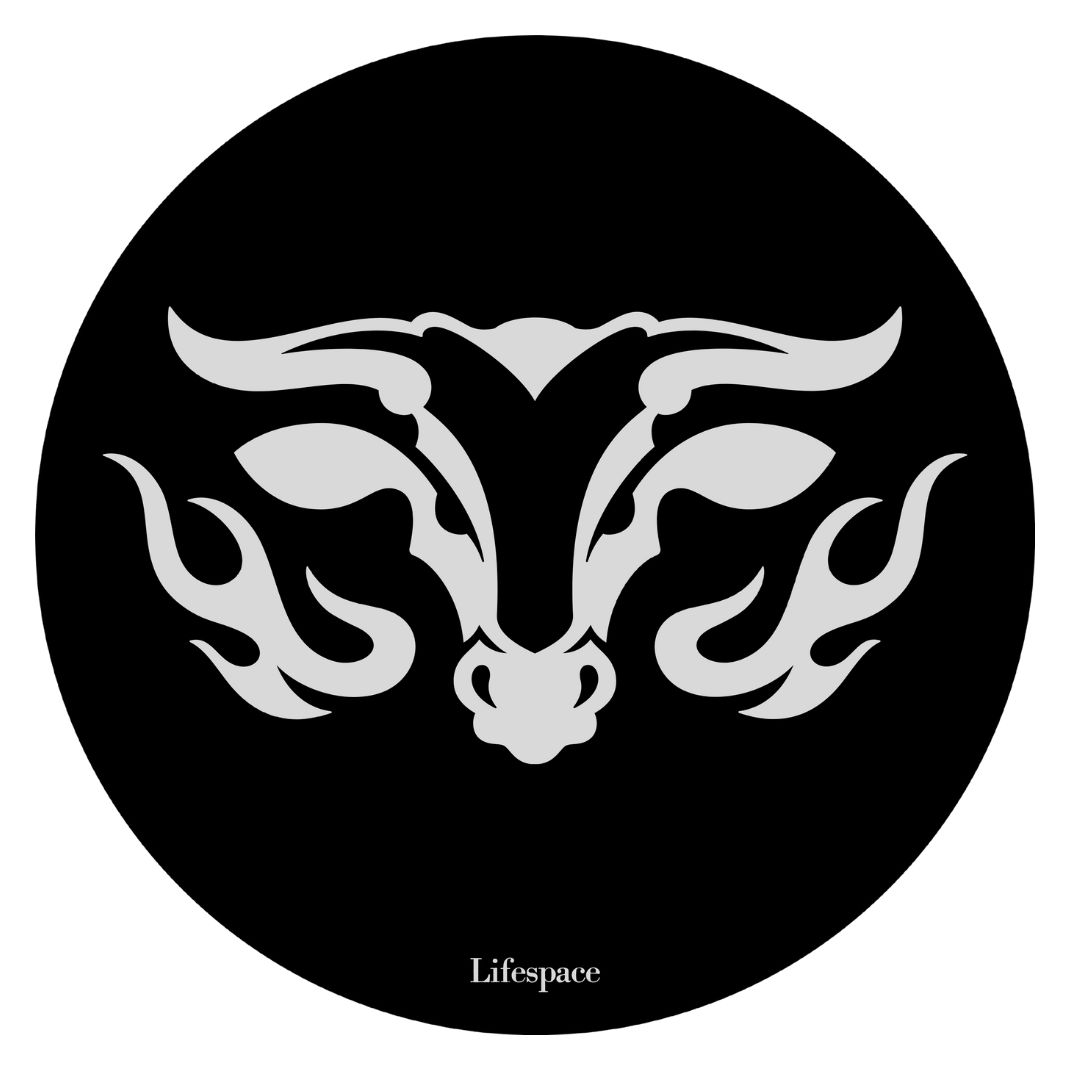 Lifespace 