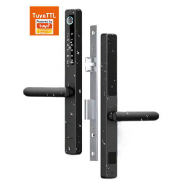 Biometric Smart Door Lock - S024