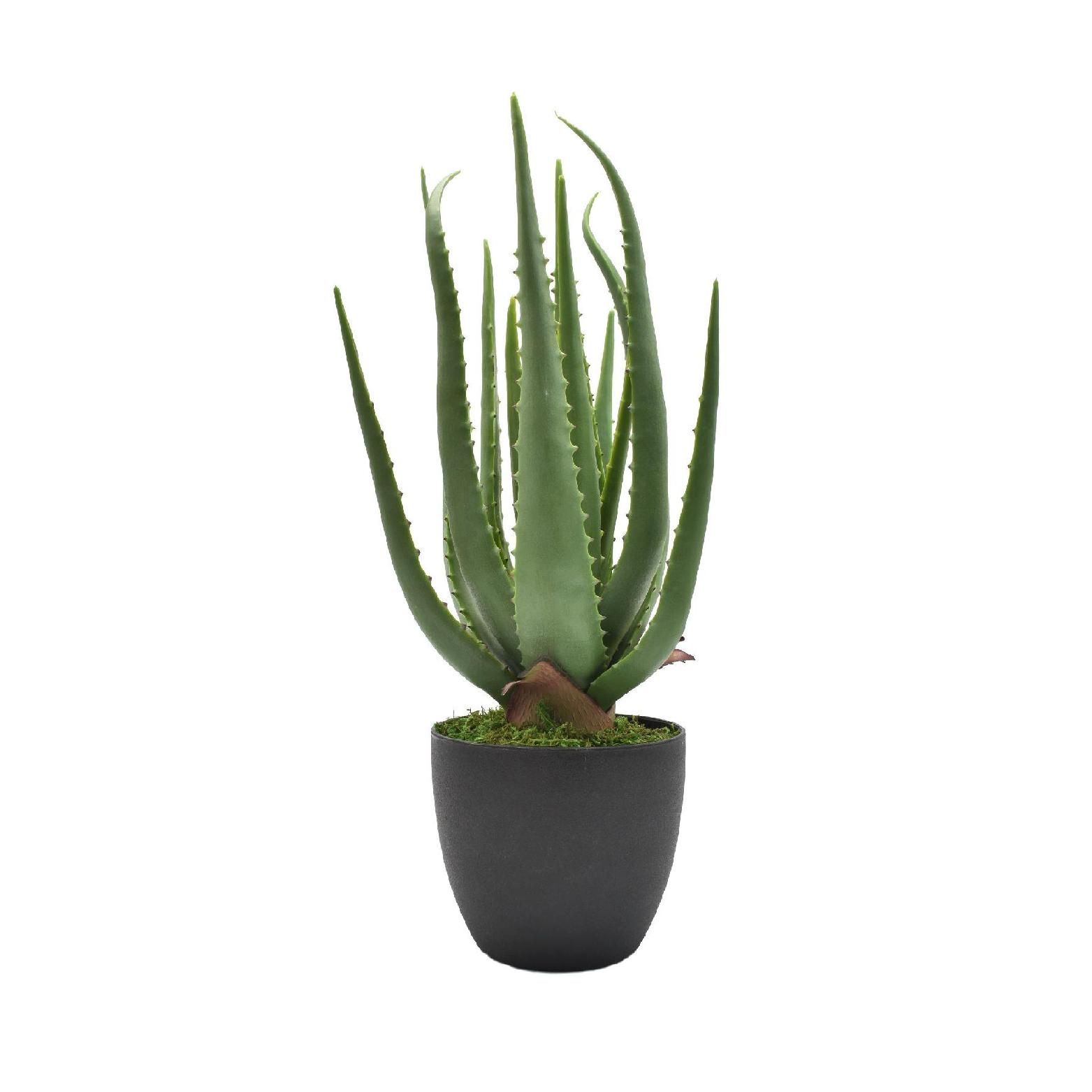 Artificial Aloe Vera Plant 55cm