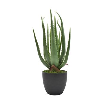 Artificial Aloe Vera Plant 55cm