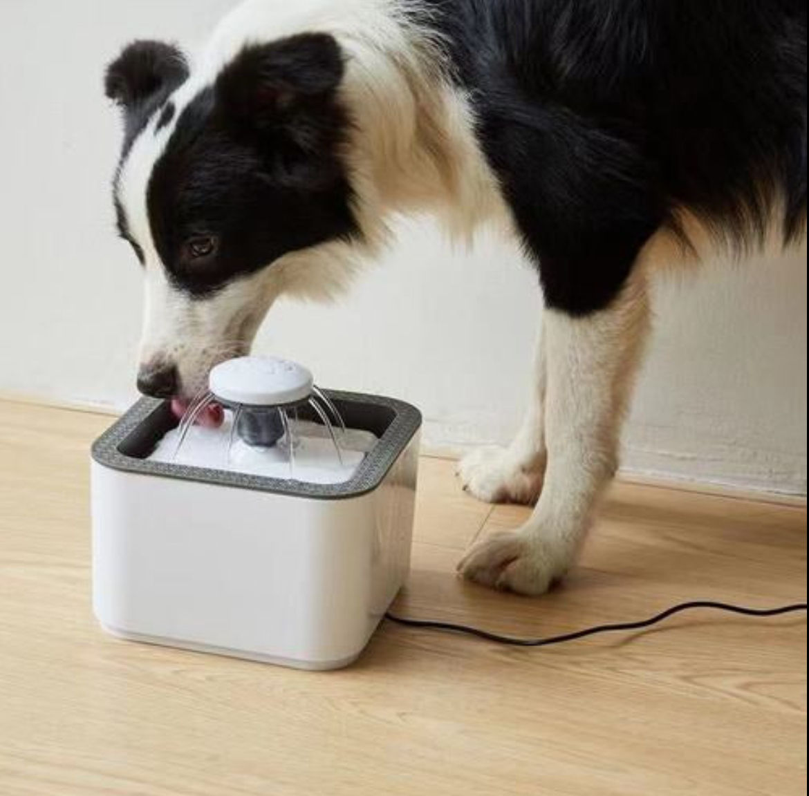 Pet Fountain 2.5L USB Rechargeable