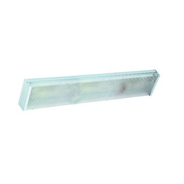 2x36W 4Ft Fluorescent Fitting  Elec. Ballast