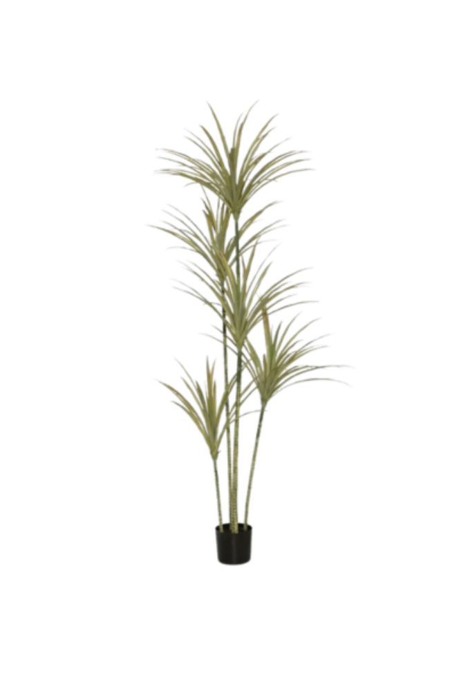 Artificial Indoor Tree with Pot – Decorative Greenery 200cm