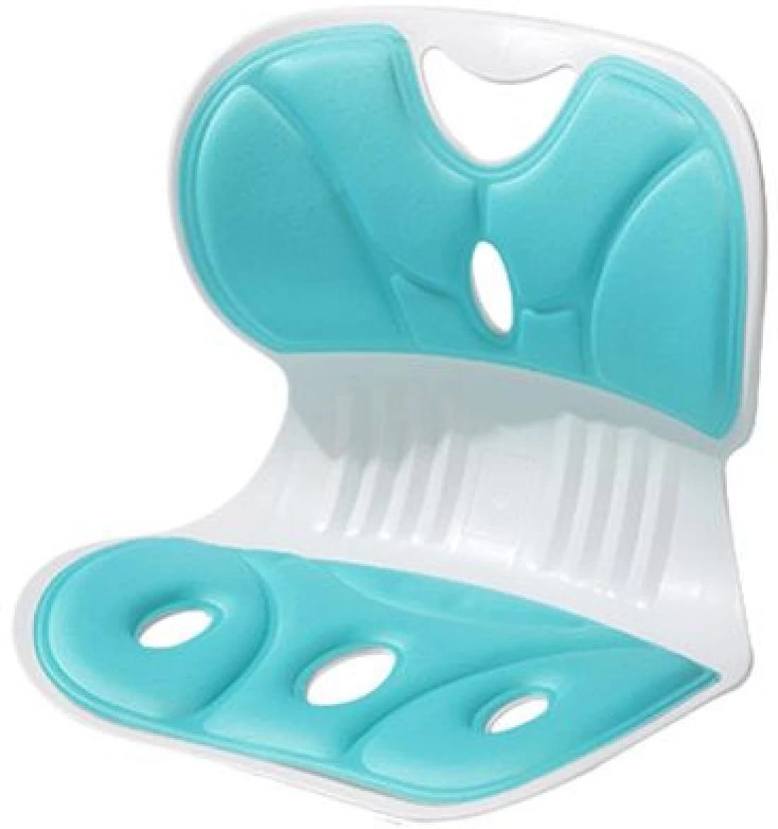 Ergonomic Back Support Chair- Lumbar Support for Good Posture Correction