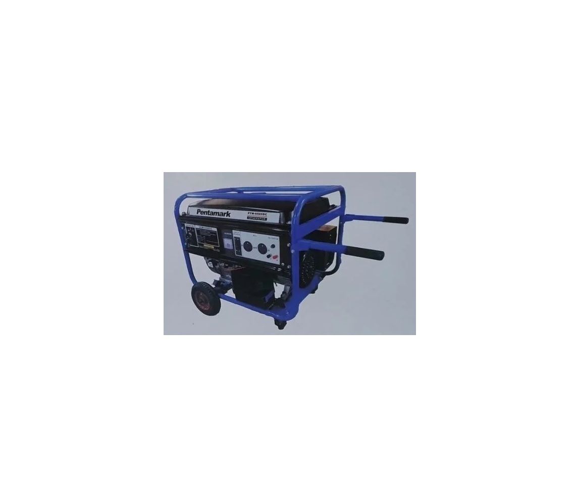 Pentamark 7.5Kva Petrol Generator - Electric Lead Replacement