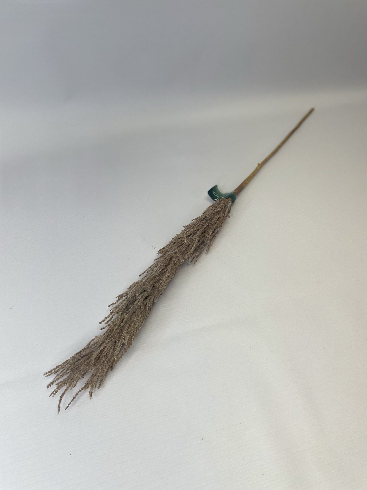 Pampas On Stem 6X6X80Cm - Brown
