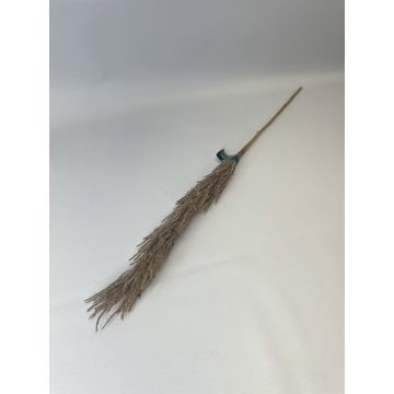 Pampas On Stem 6X6X80Cm - Brown