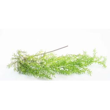 Green Tree Branch/Stem 1.02M