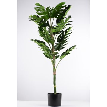 Artificial Premium Monsteria Tree - 1300mm
