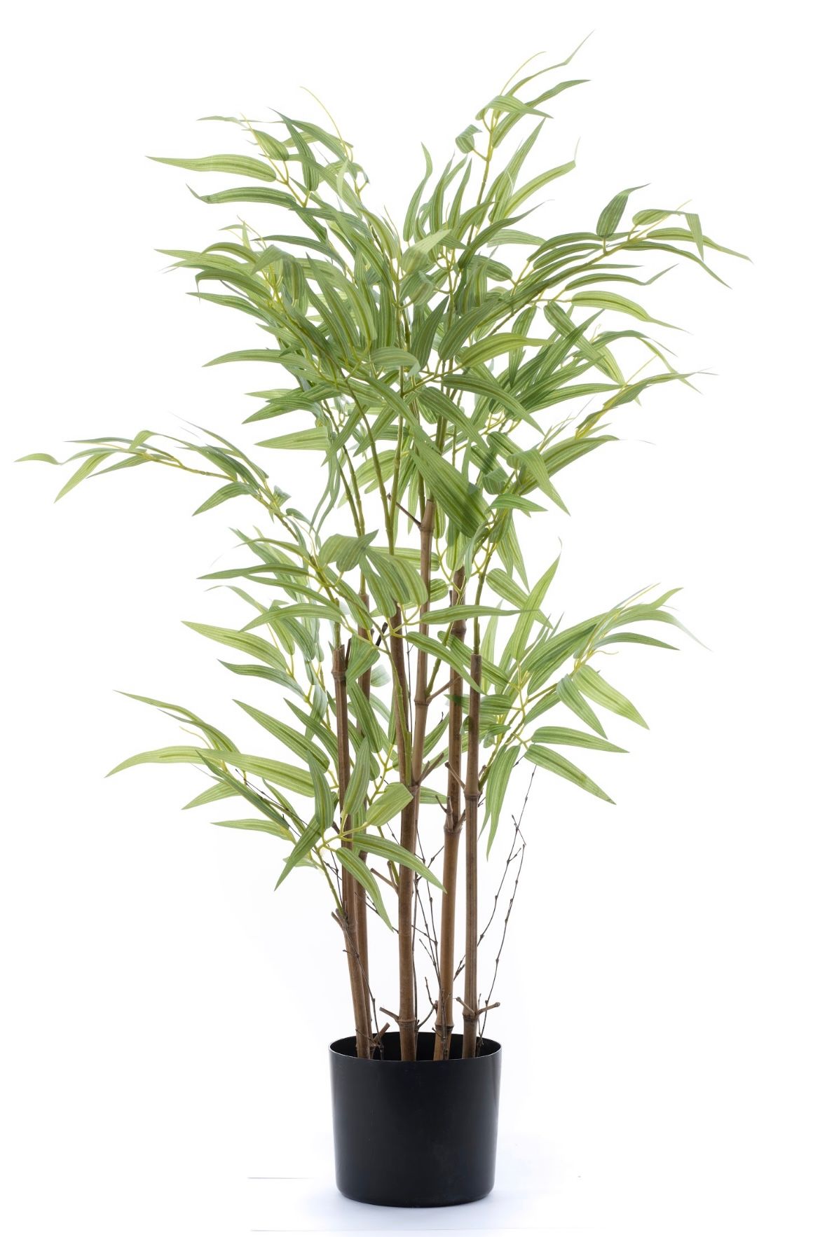 Artificial Premium Bamboo Tree - 1800mmH | LEROY MERLIN South Africa