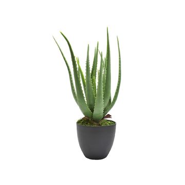 Artificial Aloe Vera Plant 46cm