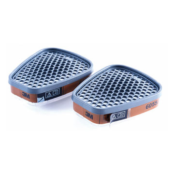 Organic Vapour Filter - 2 Pack