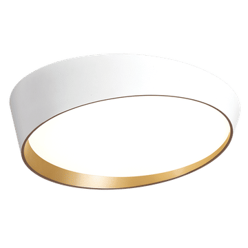 Metal Ceiling Fitting with Acrylic Diffuser