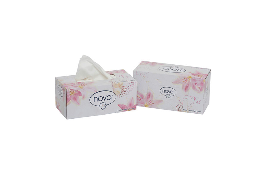 Facial Tissue Paper 2ply  x200 Sheets pack of 10 Box