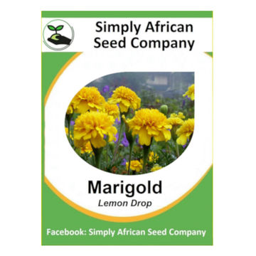 Marigold Lemon Drop (50's)