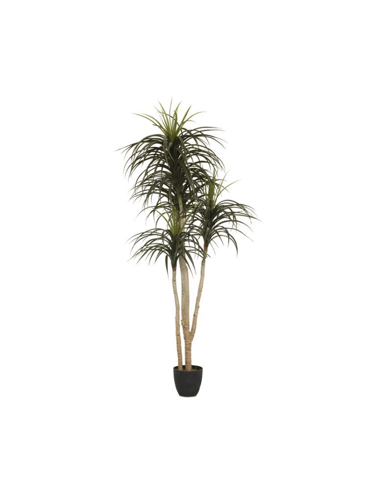Faux Yucca Tree 185cm – Artificial Indoor Tree for Modern Home Décor