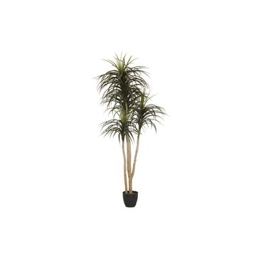 Faux Yucca Tree 185cm – Artificial Indoor Tree for Modern Home Décor