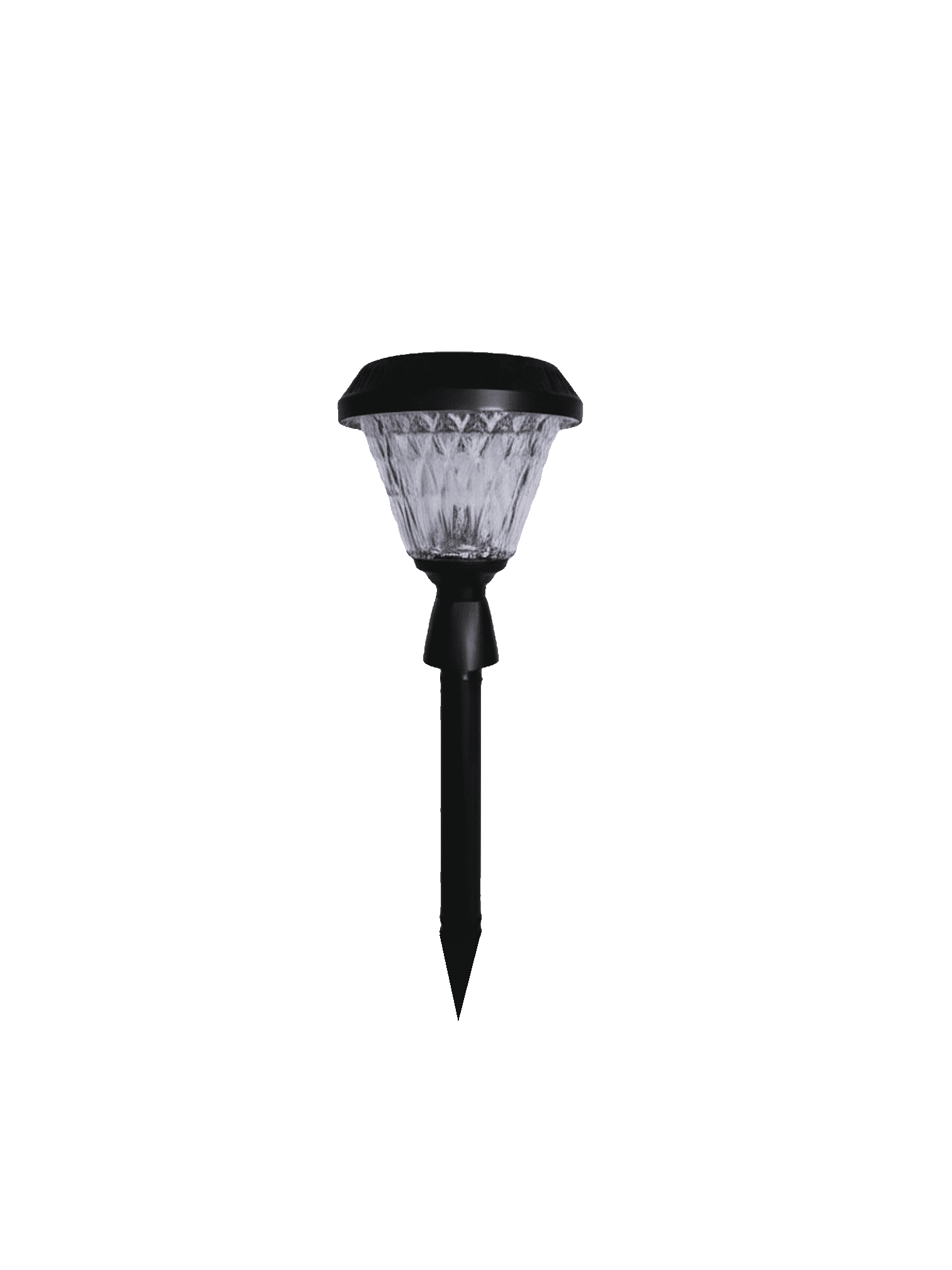 Garden Spike Solar Outdoor Light