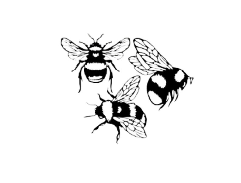 Three Bee's Wall art