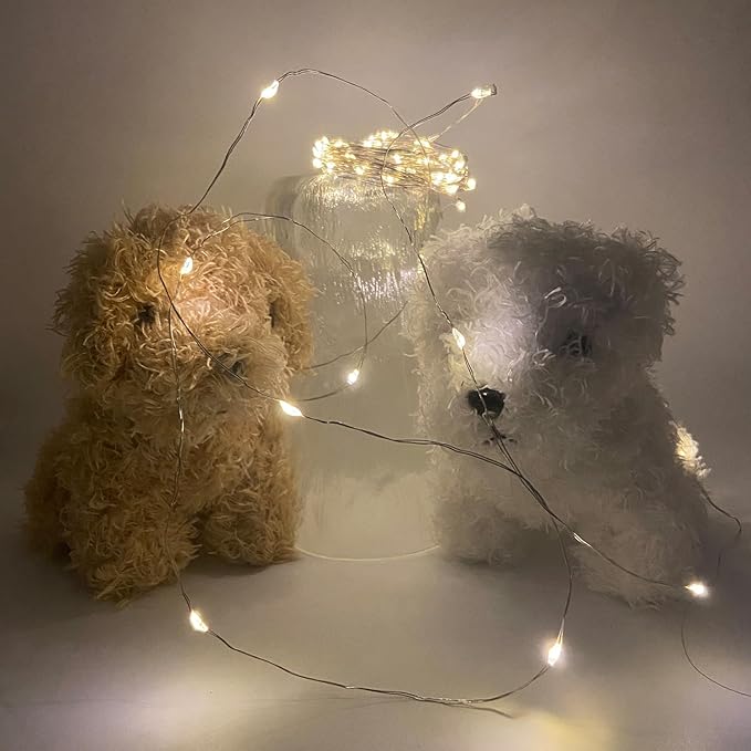 10M White USB Powered Copper Wire Fairy Lights PACK OF 50 - ZYF-D238