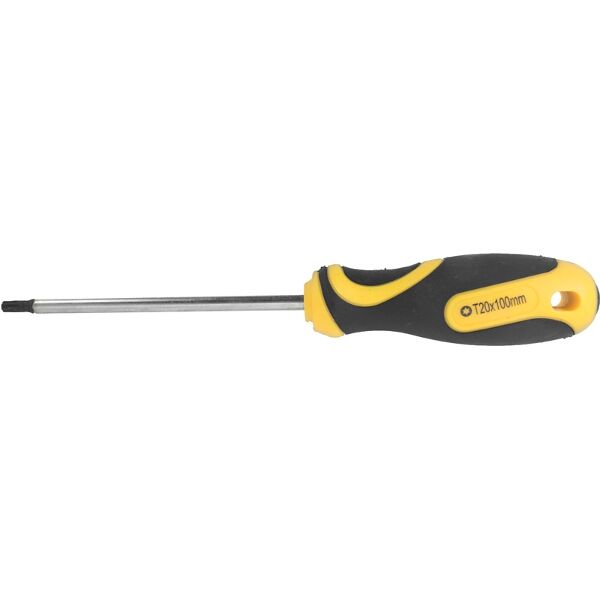 Screwdriver Torx T20 5 X100Mm